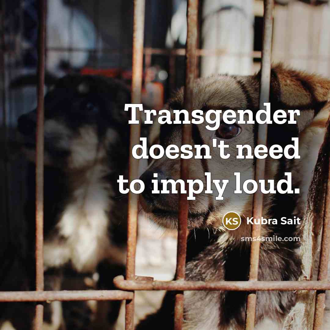 “Transgender doesn't need to imply loud.…” quote by Kubra Sait