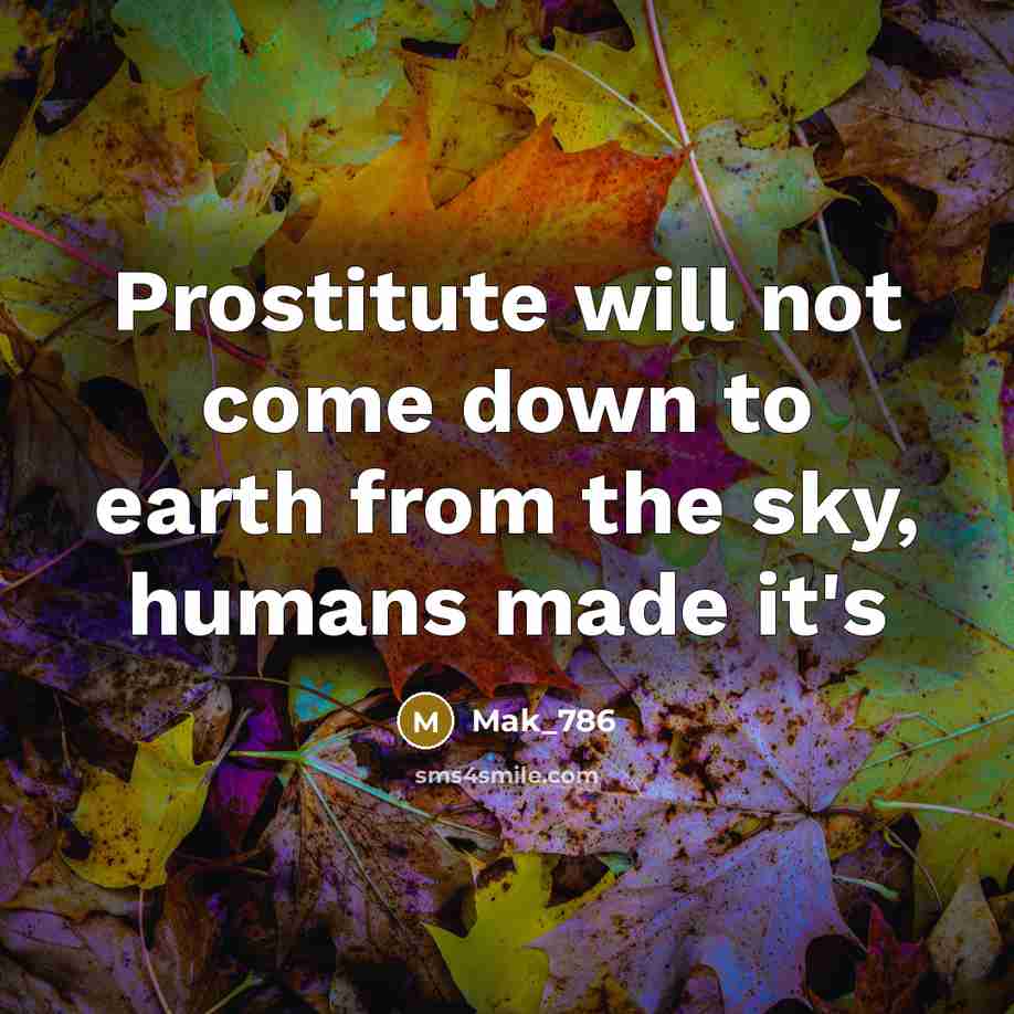 “Prostitute will not come down to earth from the sky,…” quote by Mak_786