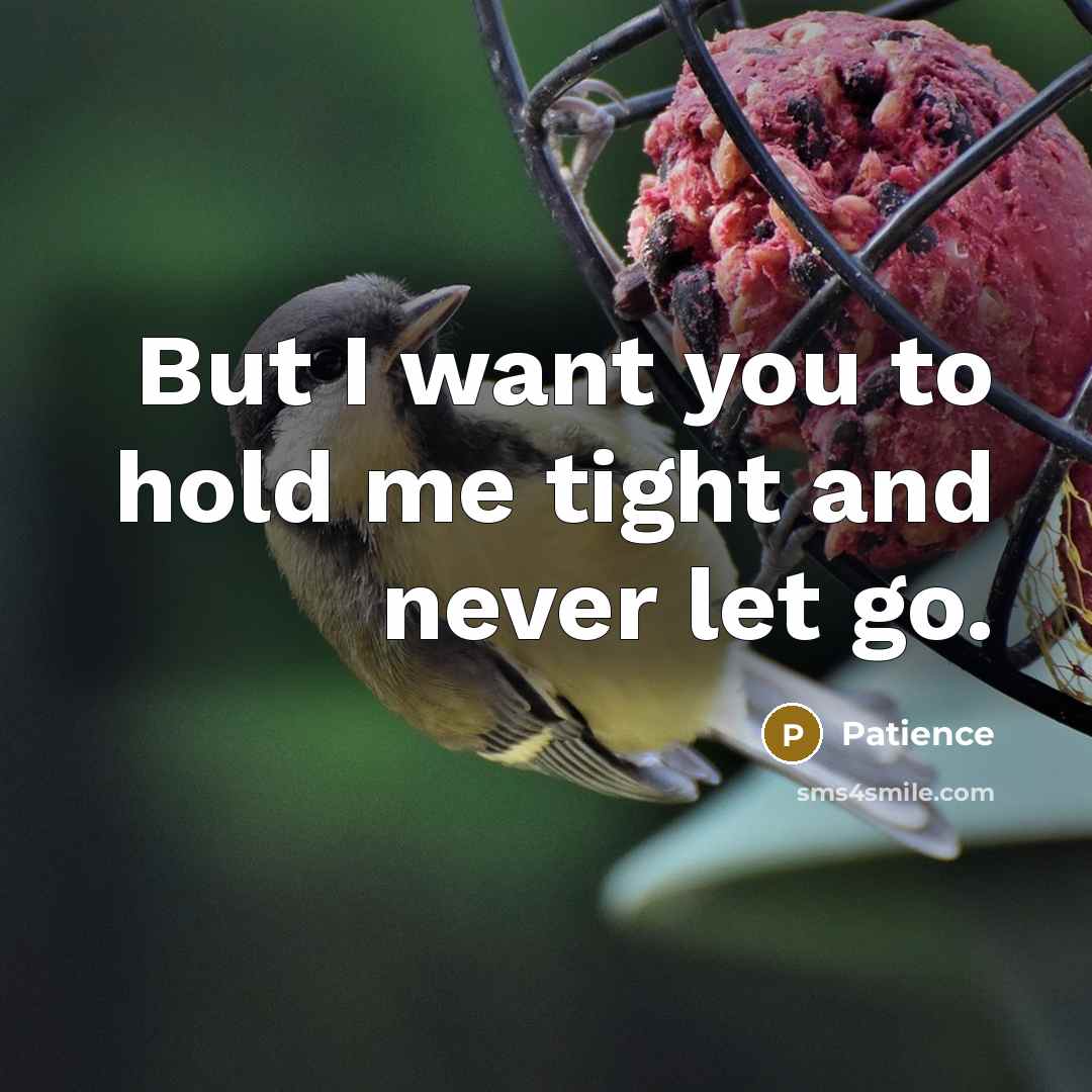 “But I want you to hold me tight and never…” quote by Patience