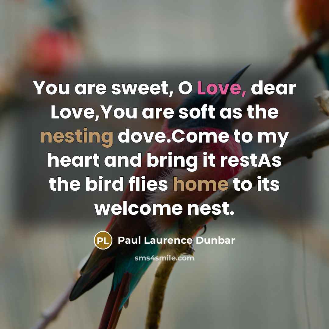 “You are sweet, O Love, dear Love,You are soft as…” quote by Paul Laurence Dunbar