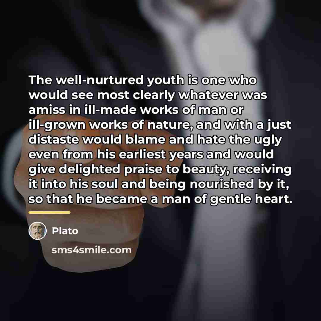 “The well-nurtured youth is one who would see most clearly…” quote by Plato