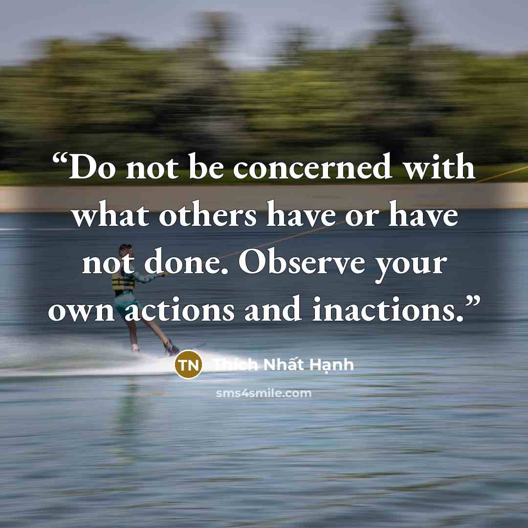 “Do not be concerned with what others have or have not done. Observe your own actions and inactions.” quote by Thích Nhất Hạnh
