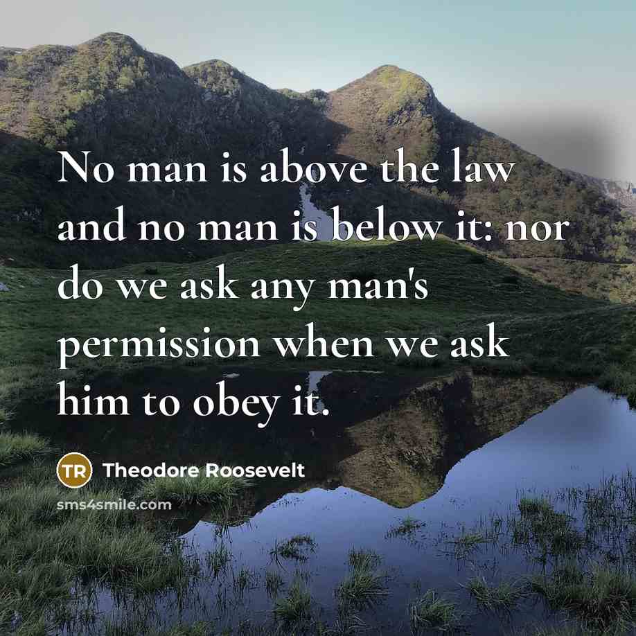 “No man is above the law and no man is…” quote by Theodore Roosevelt