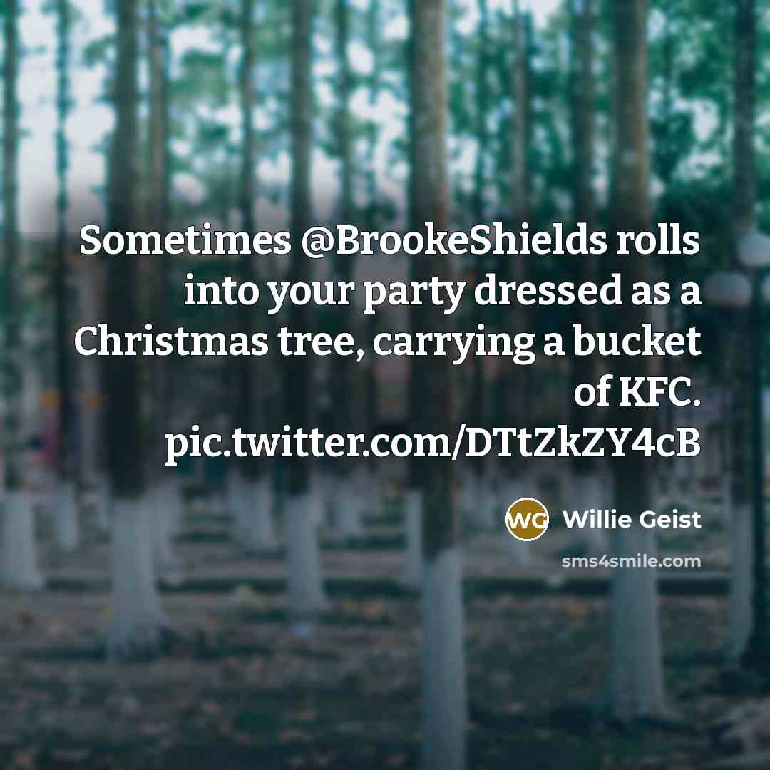 “Sometimes @BrookeShields rolls into your party dressed as a Christmas tree, carrying a bucket of KFC. pic.twitter.com/DTtZkZY4cB” quote by Willie Geist