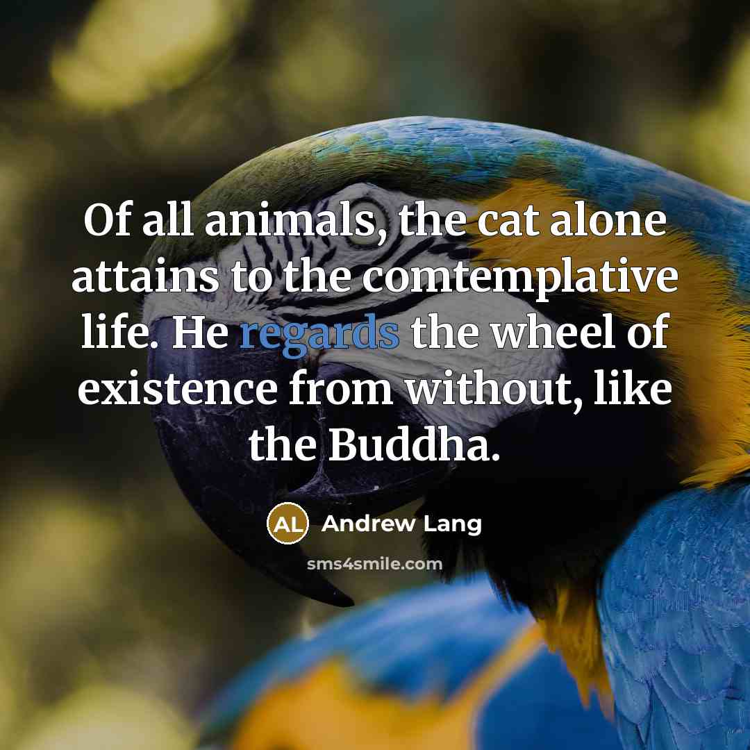“Of all animals, the cat alone attains to the comtemplative…” quote by Andrew Lang