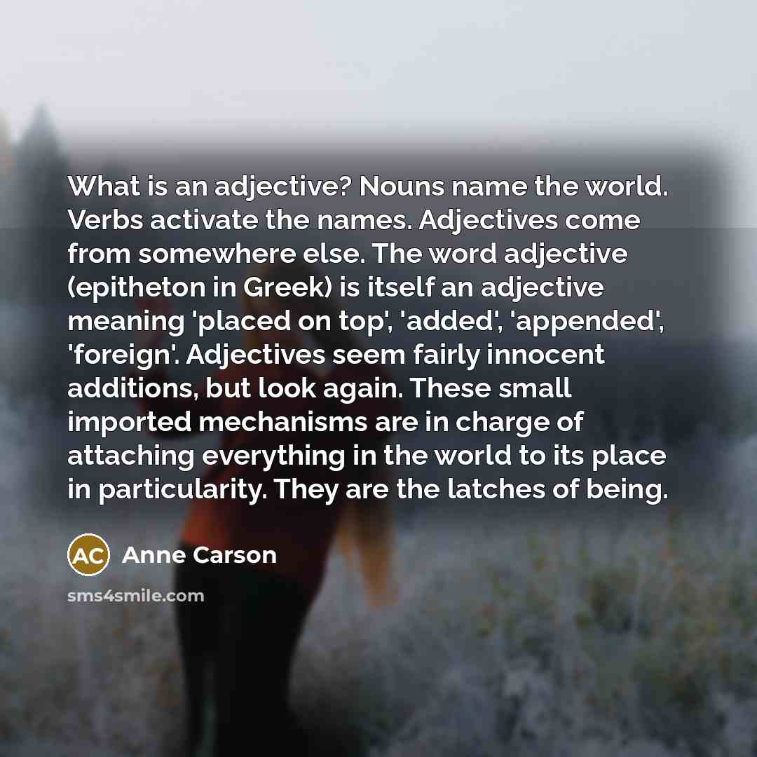 “What is an adjective? Nouns name the world. Verbs activate…” quote by Anne Carson