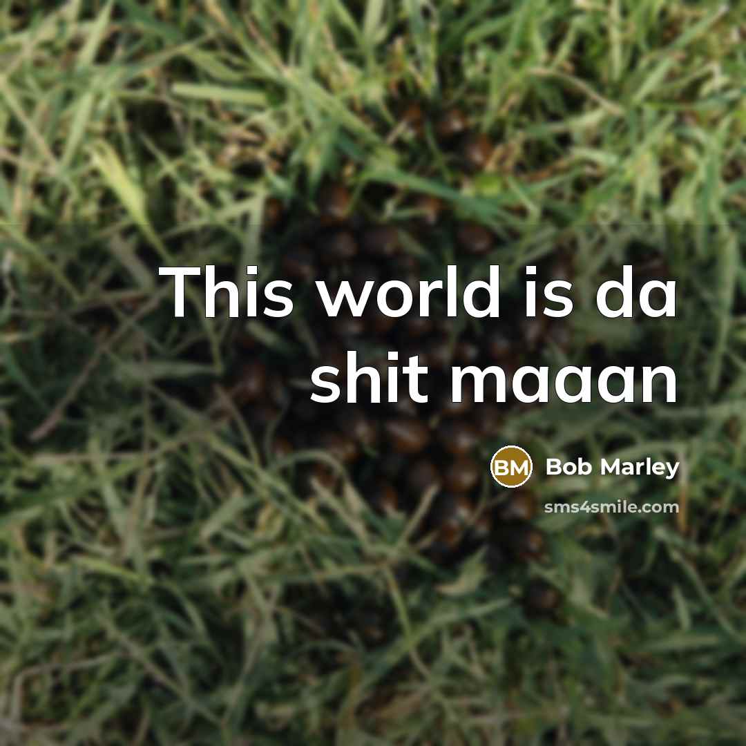 “This world is da shit maaan” quote by Bob Marley