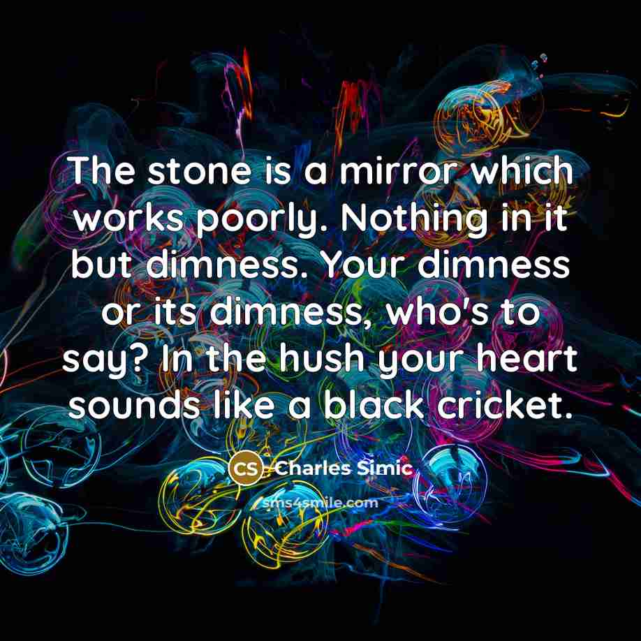 “The stone is a mirror which works poorly. Nothing in…” quote by Charles Simic