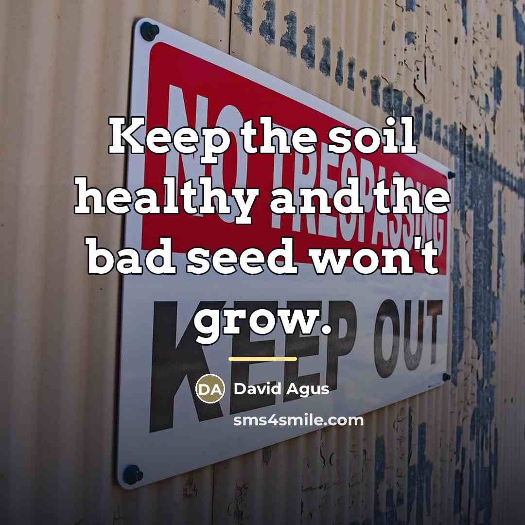 “Keep the soil healthy and the bad seed won't grow.…” quote by David Agus