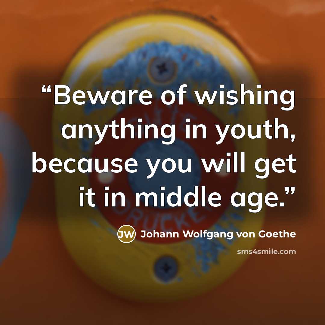 “Beware of wishing anything in youth, because you will get it in middle age.” quote by Johann Wolfgang von Goethe