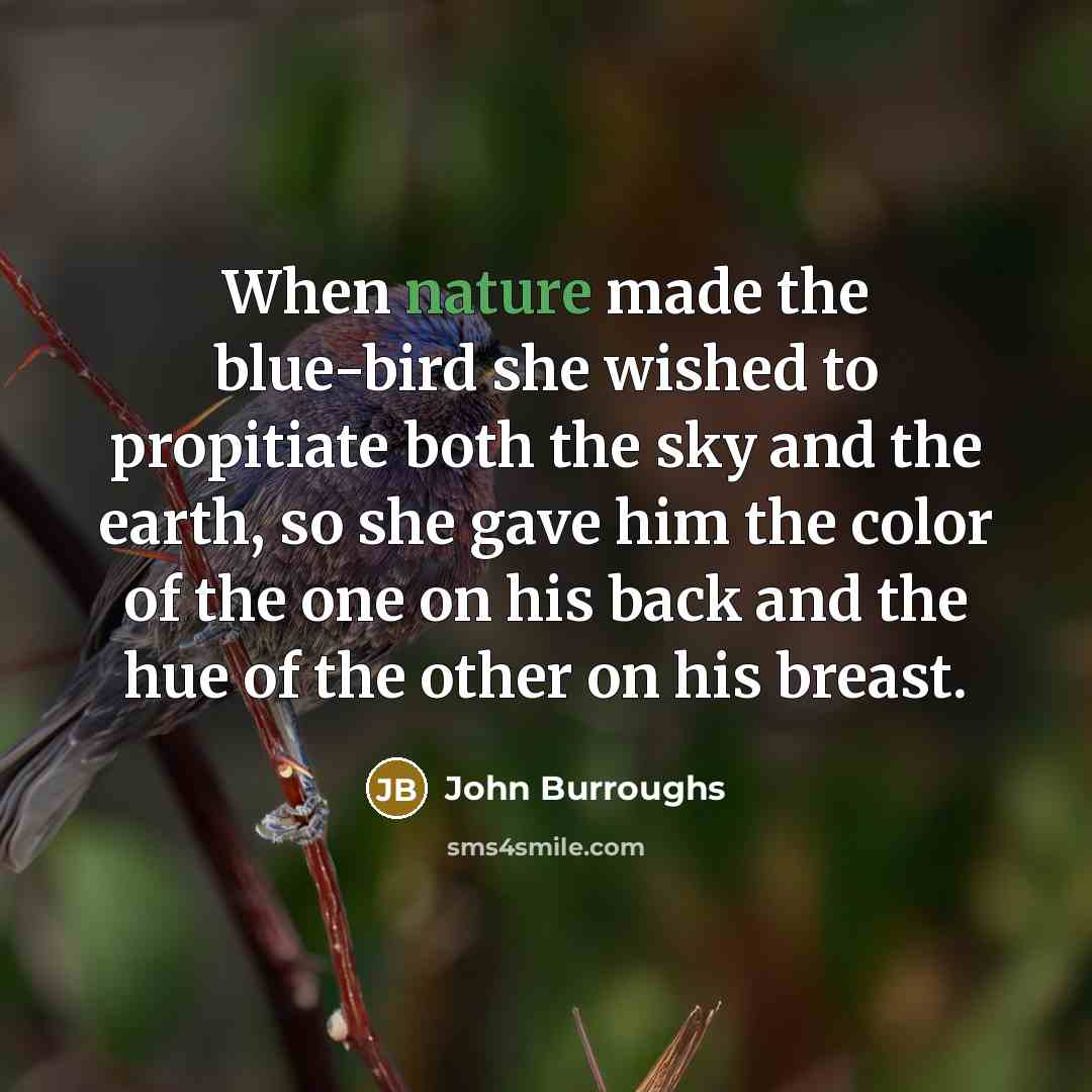 “When nature made the blue-bird she wished to propitiate both…” quote by John Burroughs