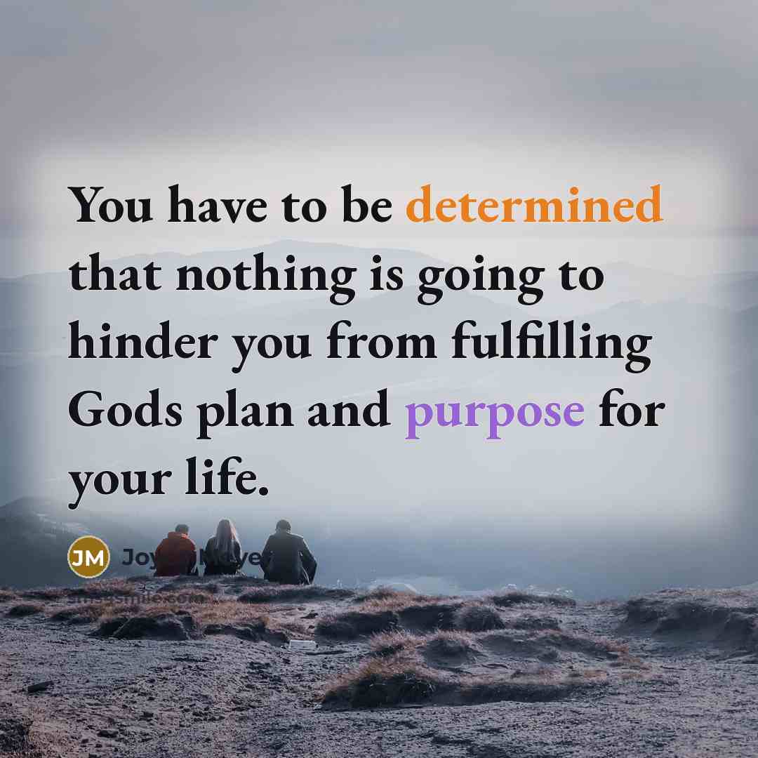 “You have to be determined that nothing is going to…” quote by Joyce Meyer