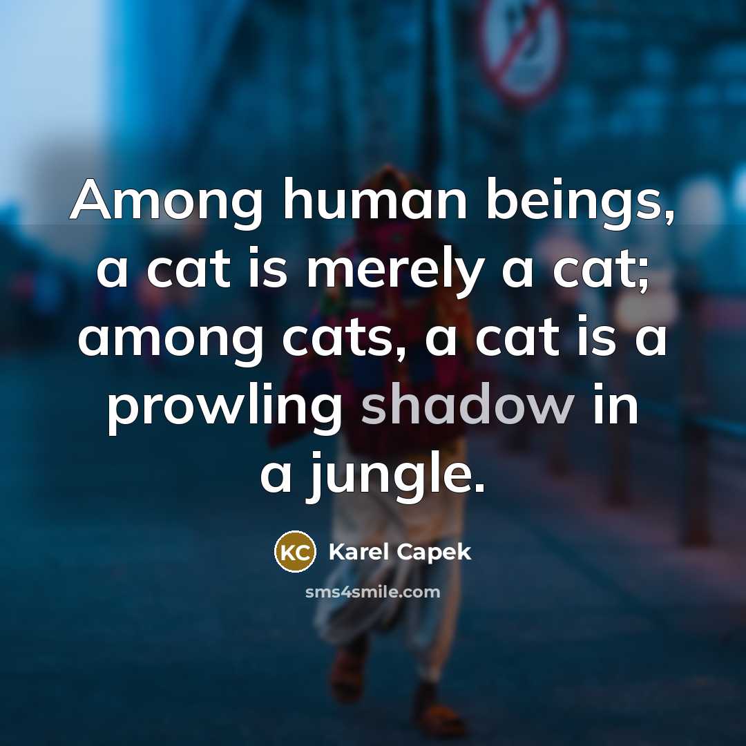 “Among human beings, a cat is merely a cat; among…” quote by Karel Capek
