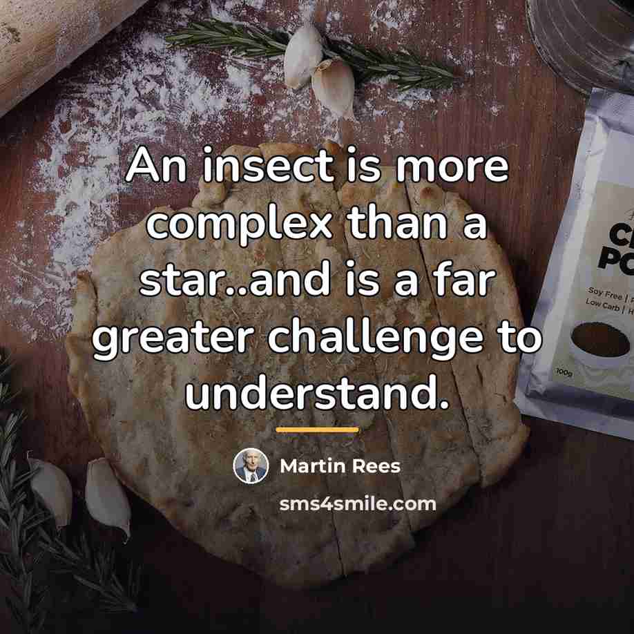 “An insect is more complex than a star..and is a…” quote by Martin Rees