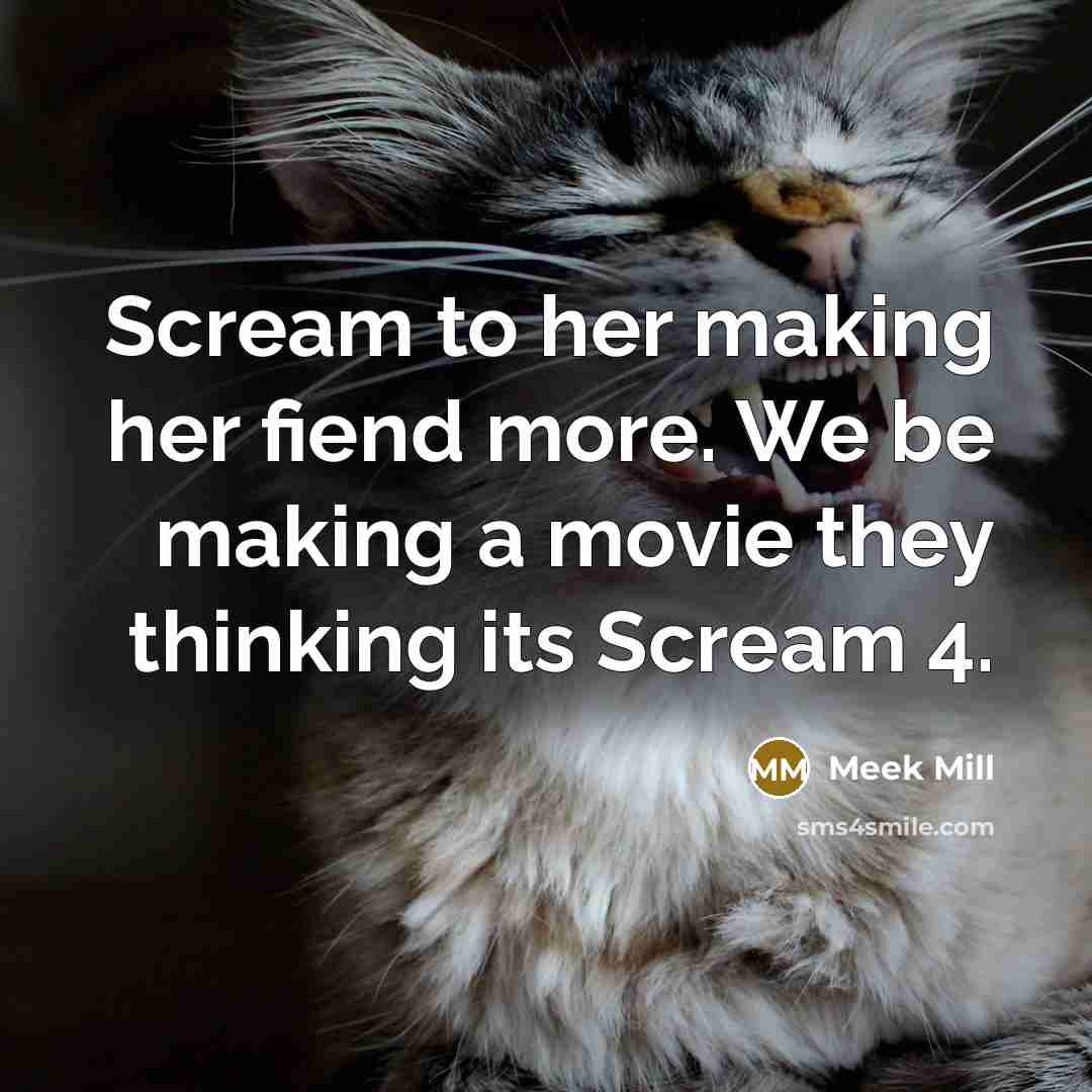 “Scream to her making her fiend more. We be making…” quote by Meek Mill