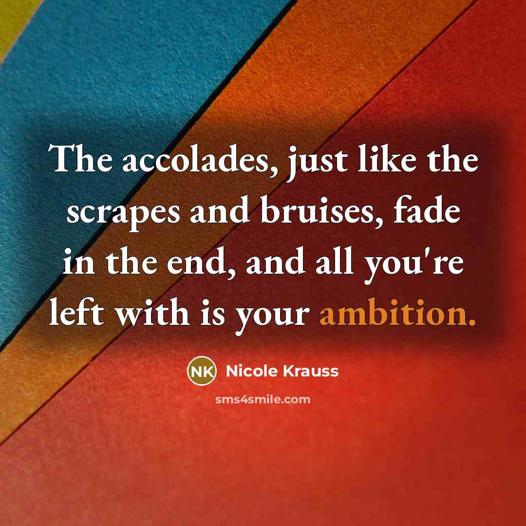 “The accolades, just like the scrapes and bruises, fade in…” quote by Nicole Krauss