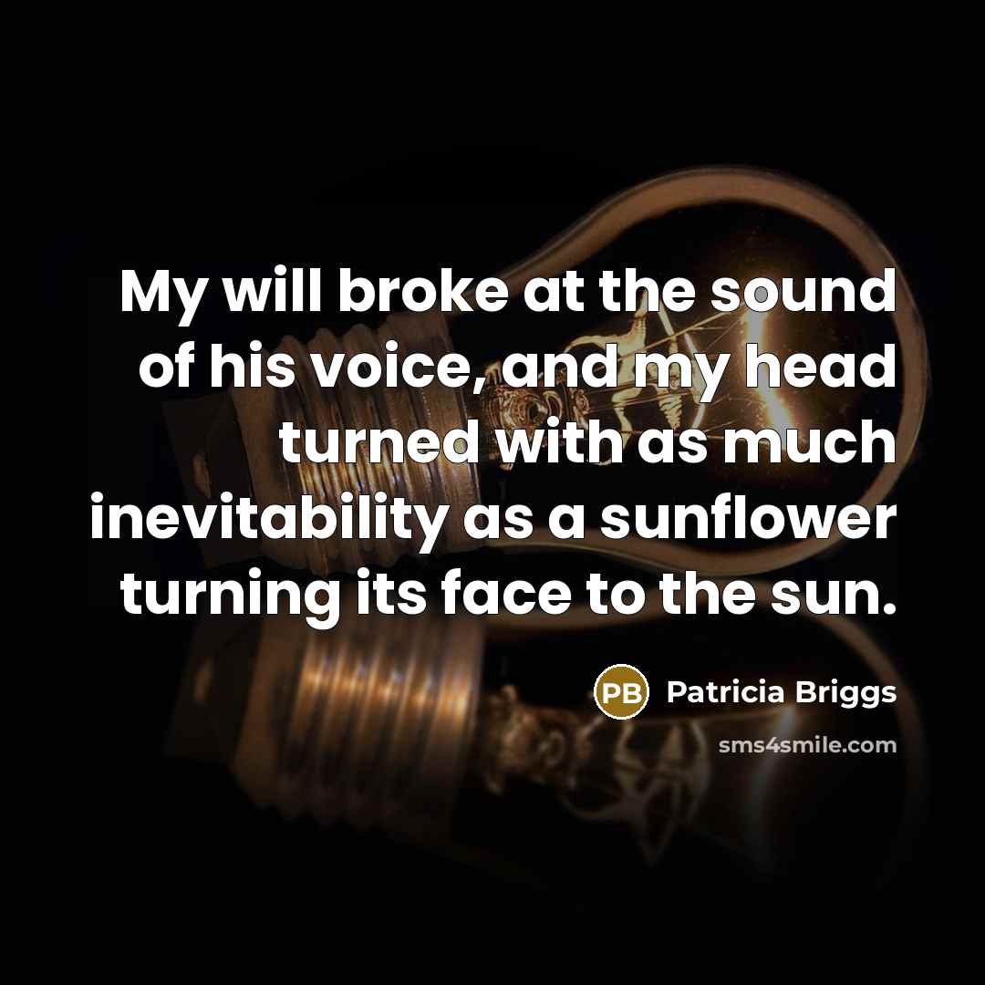 “My will broke at the sound of his voice, and…” quote by Patricia Briggs