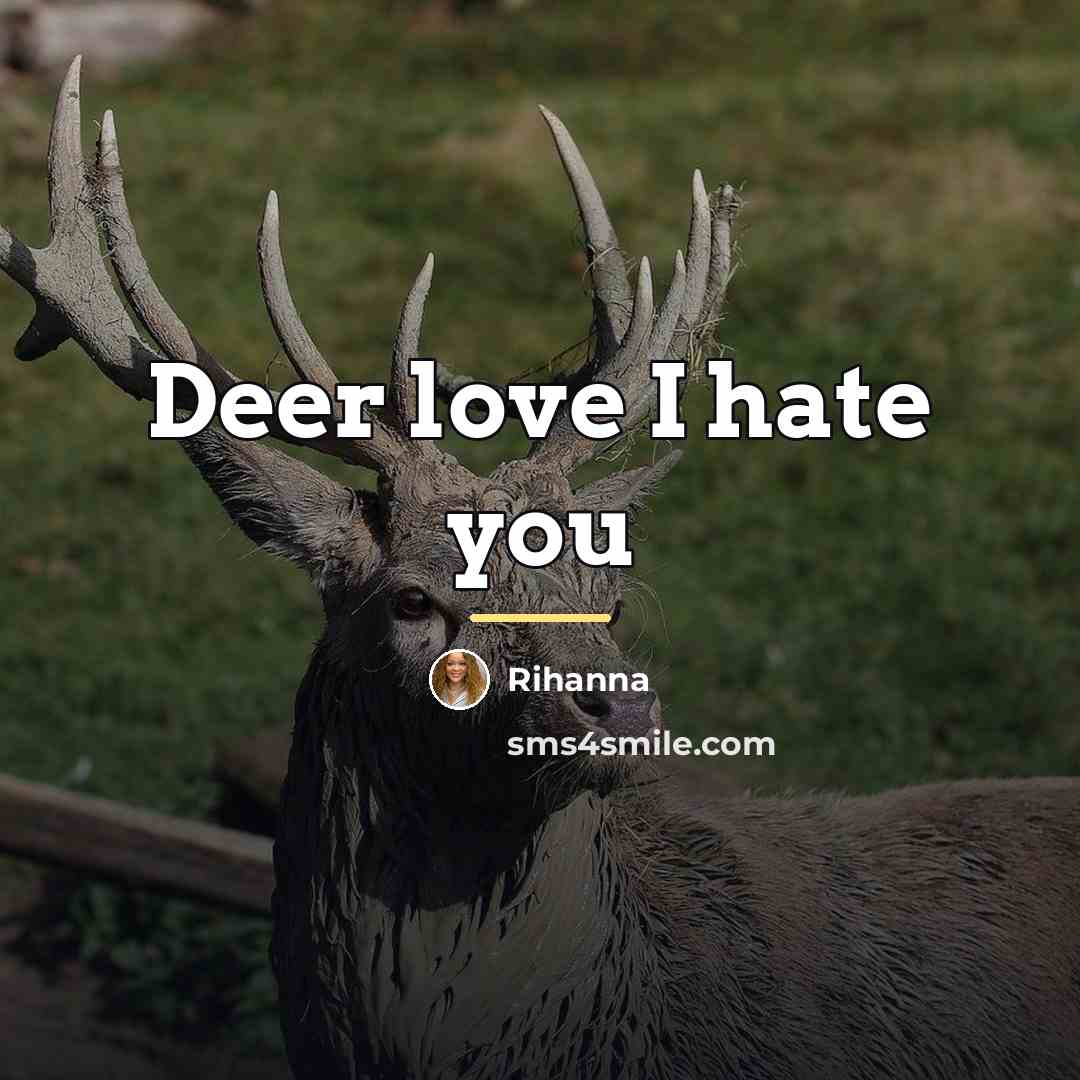 “Deer love I hate you…” quote by Rihanna
