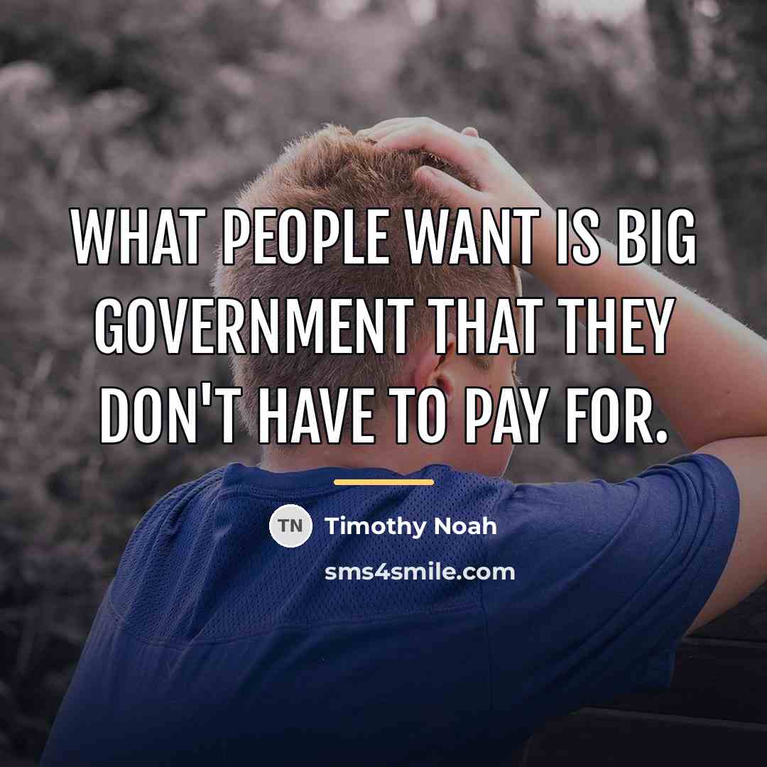 “What people want is big government that they don't have…” quote by Timothy Noah