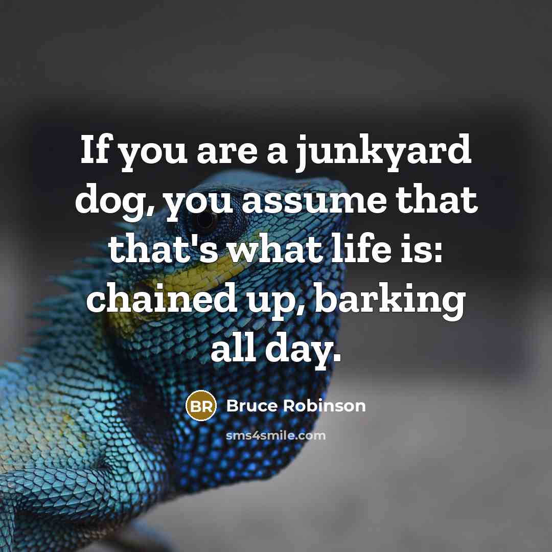 “If you are a junkyard dog, you assume that that's…” quote by Bruce Robinson