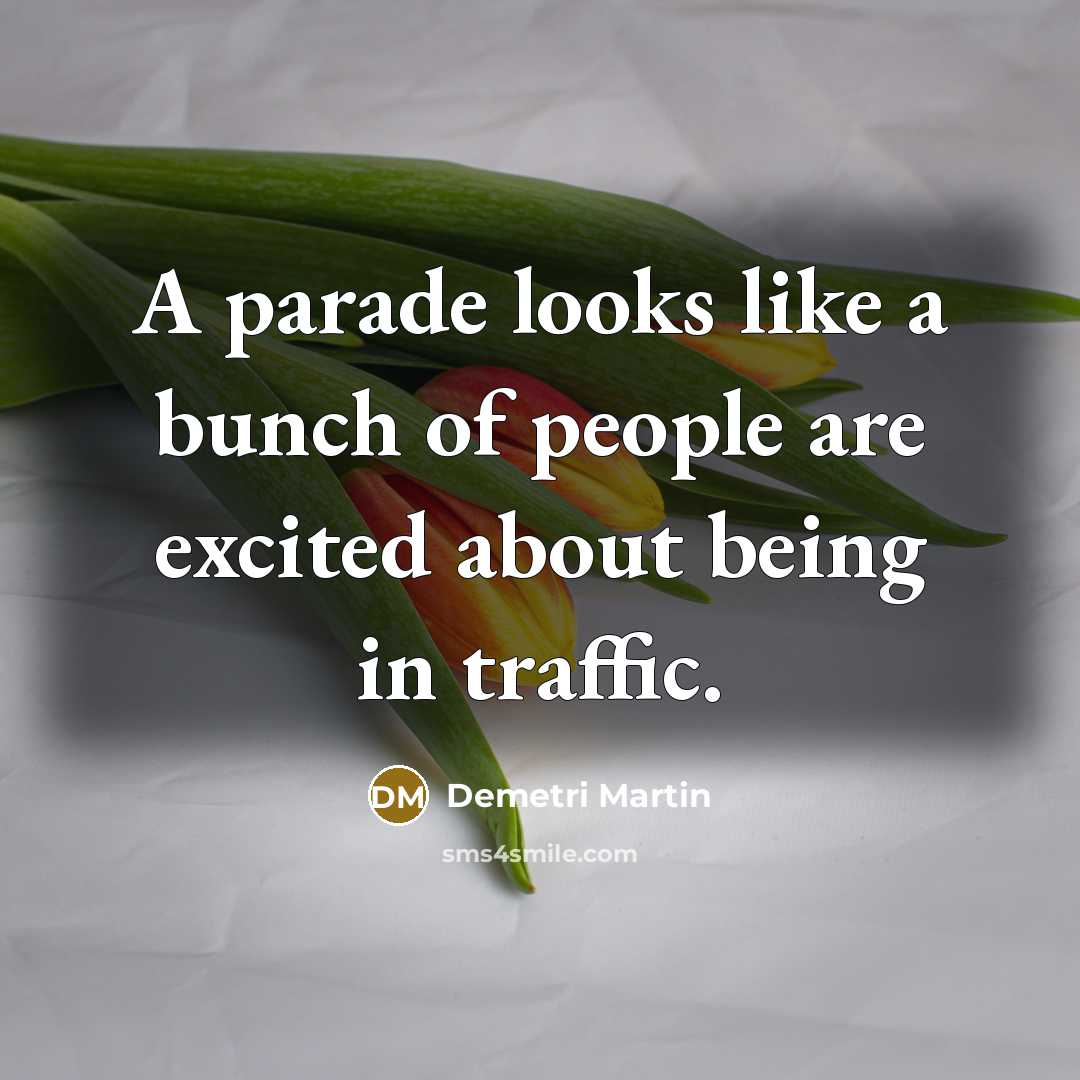 “A parade looks like a bunch of people are excited…” quote by Demetri Martin
