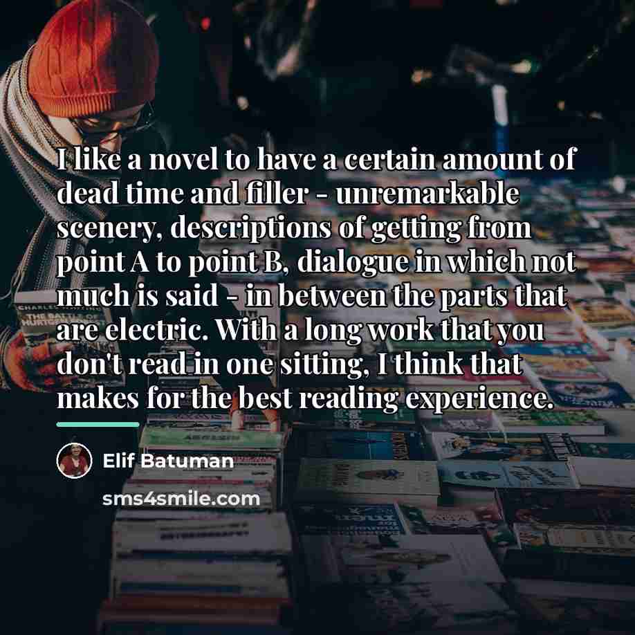 “I like a novel to have a certain amount of…” quote by Elif Batuman