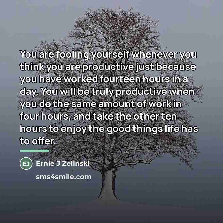 “You are fooling yourself whenever you think you are productive…” quote by Ernie J Zelinski