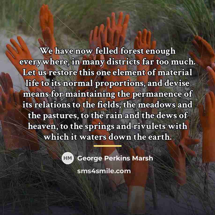 “We have now felled forest enough everywhere, in many districts…” quote by George Perkins Marsh