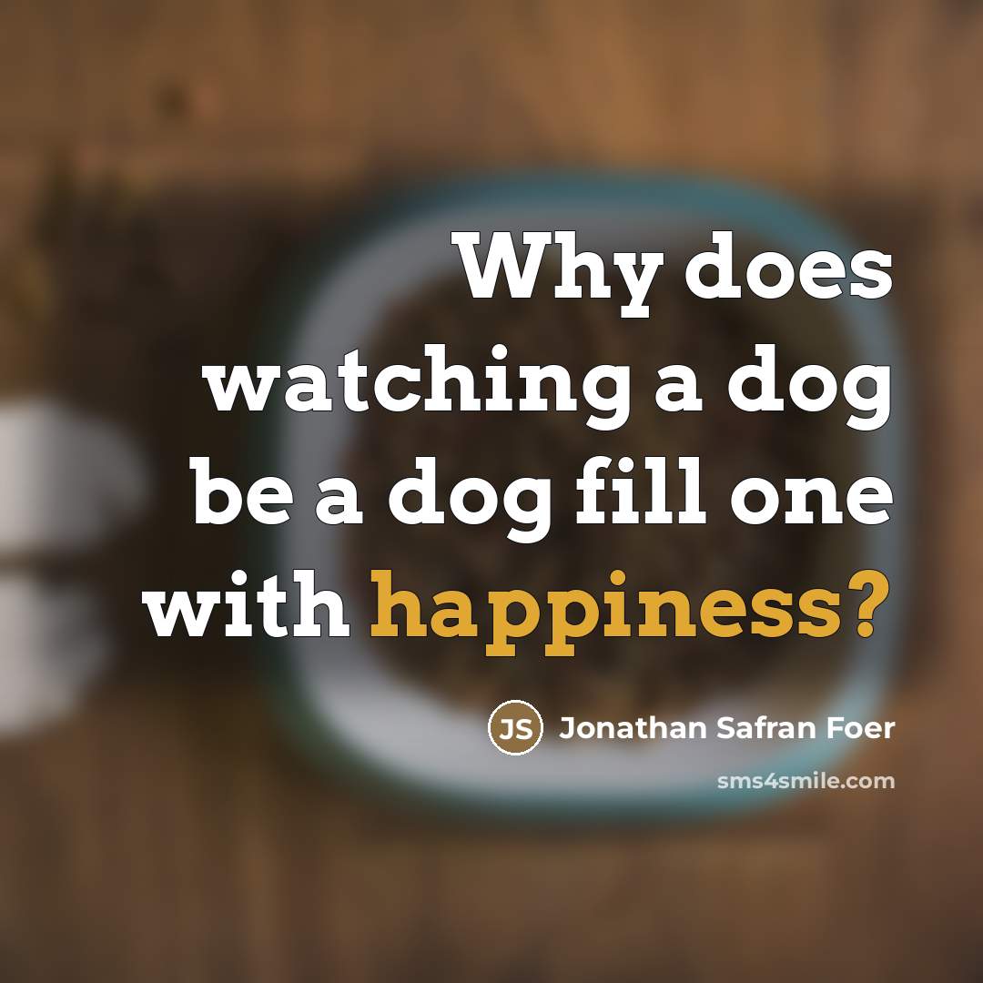 “Why does watching a dog be a dog fill one…” quote by Jonathan Safran Foer