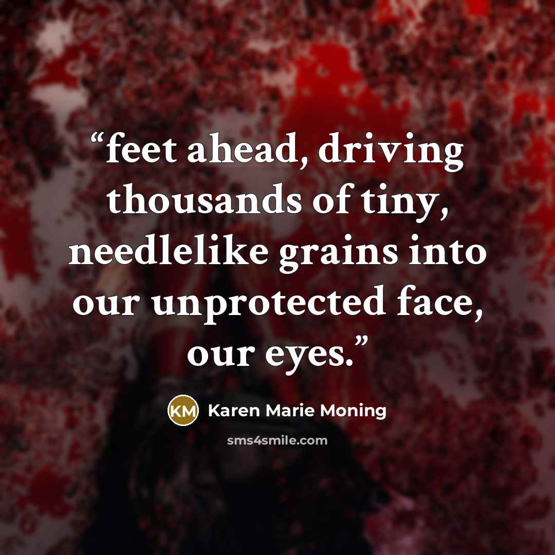 “feet ahead, driving thousands of tiny, needlelike grains into our unprotected face, our eyes.” quote by Karen Marie Moning