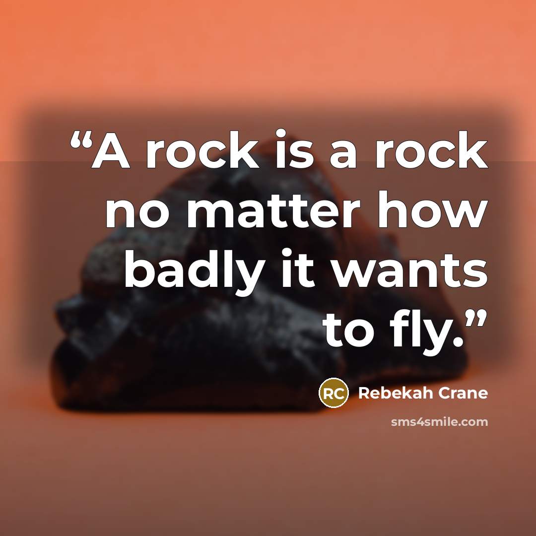 “A rock is a rock no matter how badly it wants to fly.” quote by Rebekah Crane