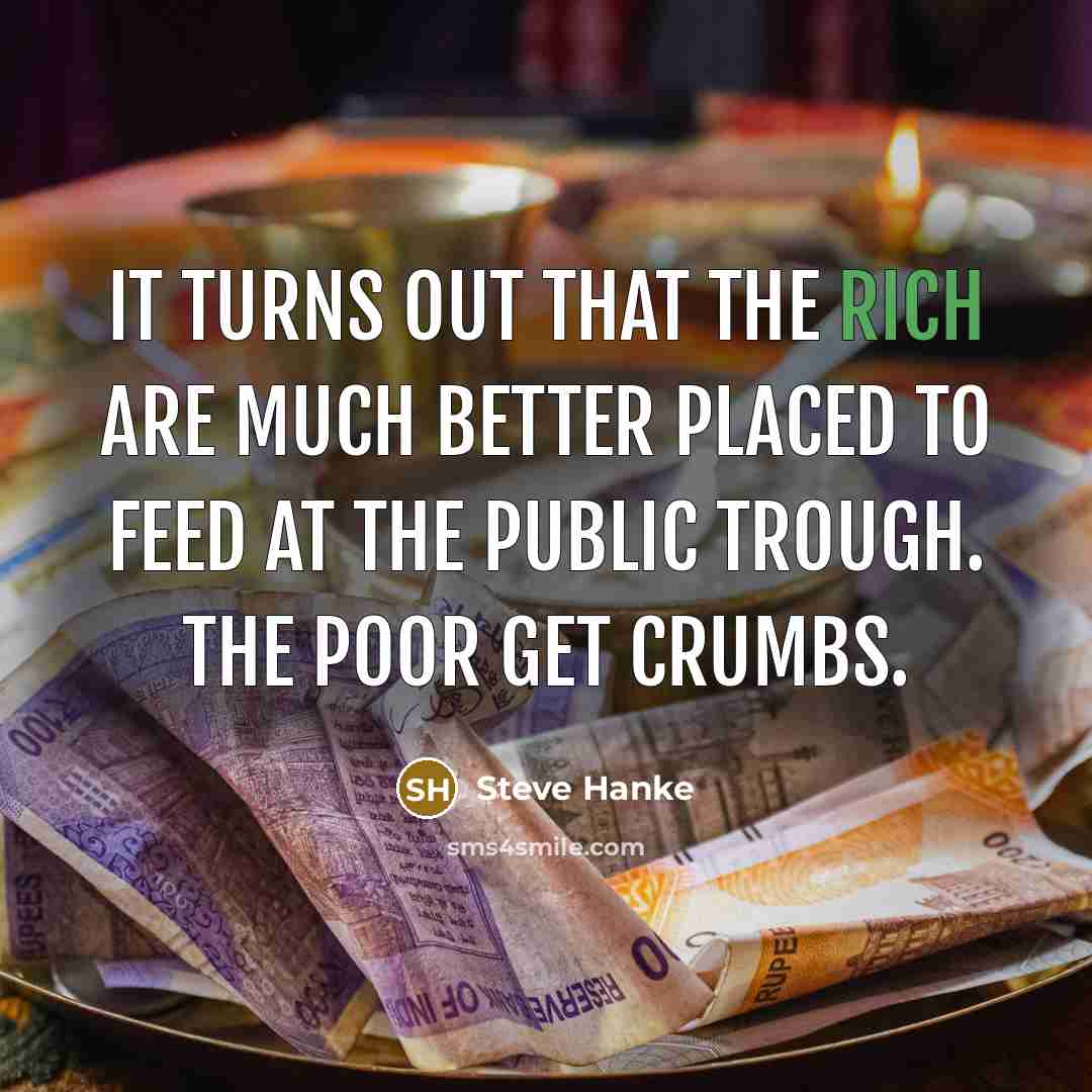 “It turns out that the rich are much better placed…” quote by Steve Hanke