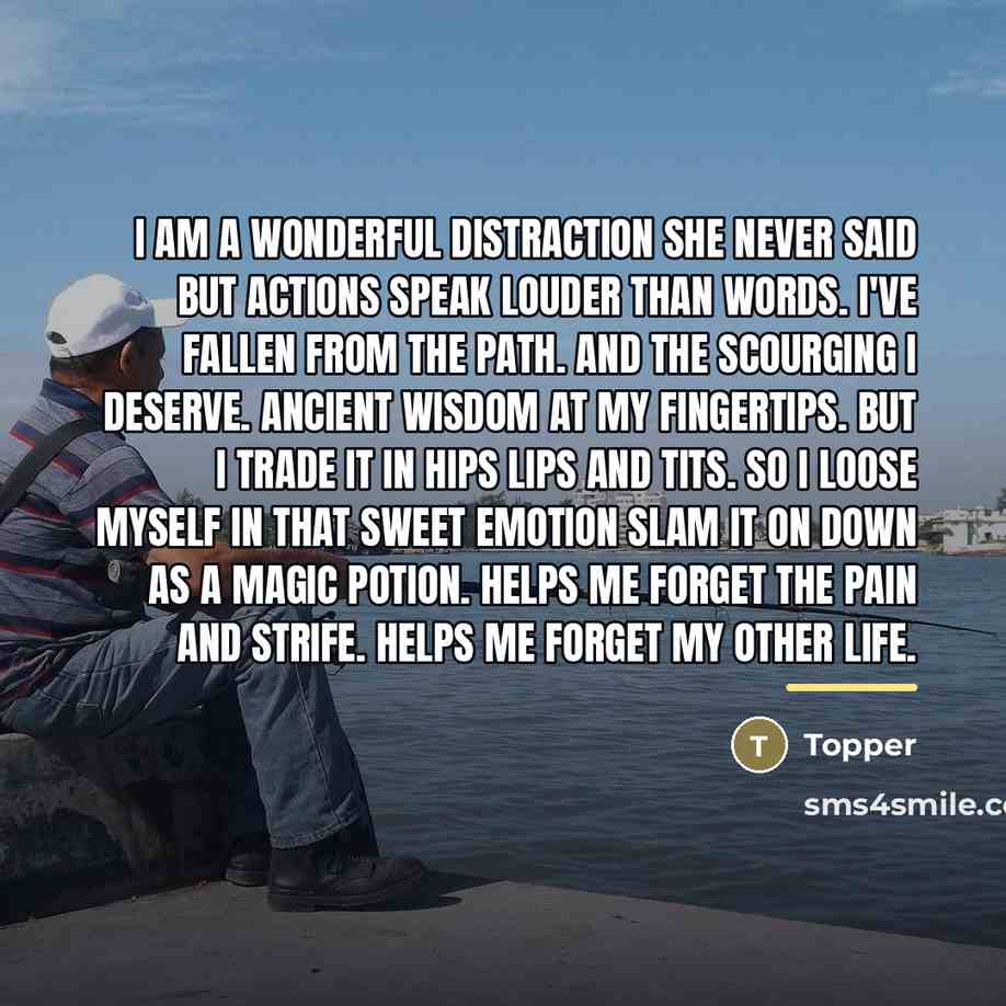 “I am a wonderful distraction she never said but actions…” quote by Topper
