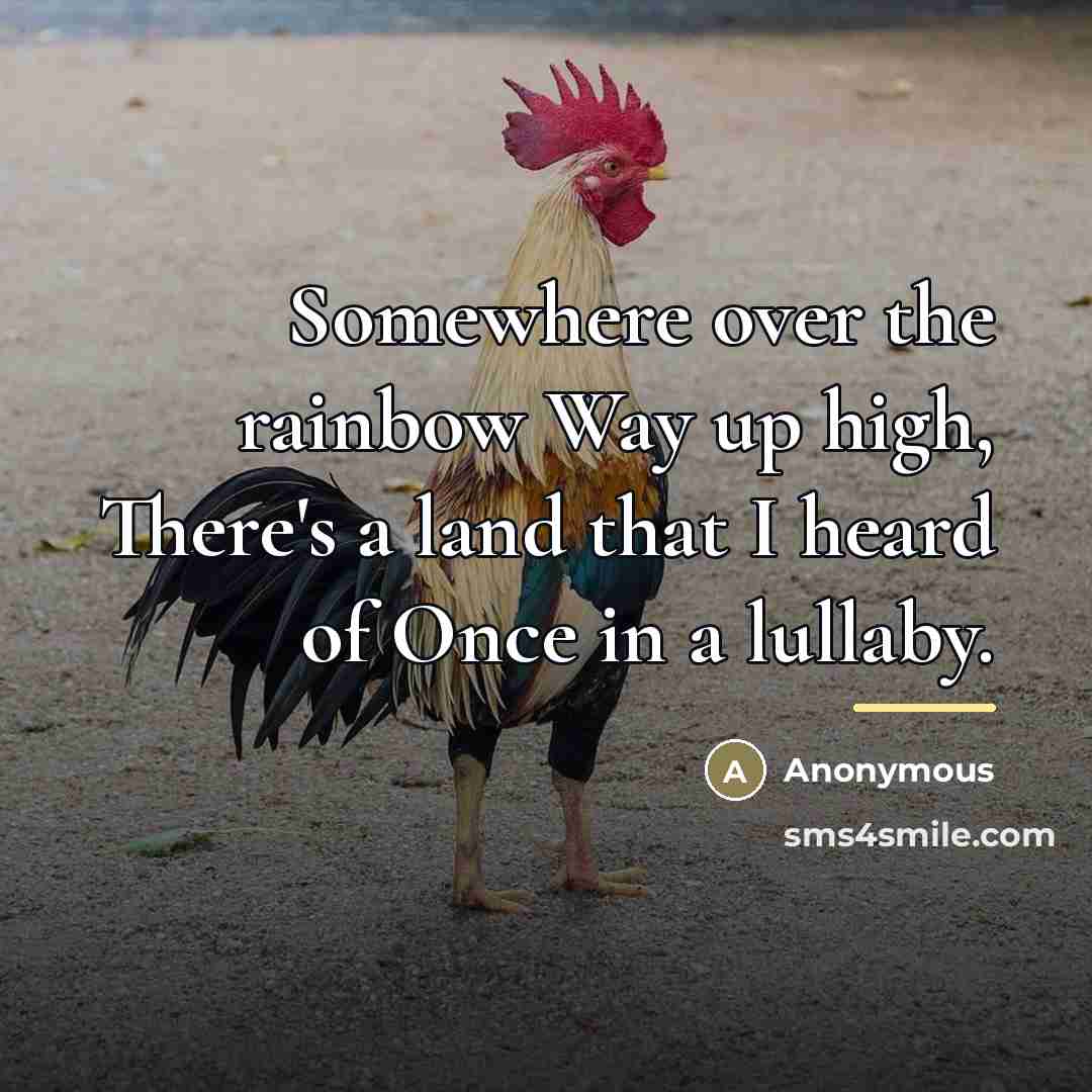 “Somewhere over the rainbow Way up high, There's a land…” quote by Anonymous