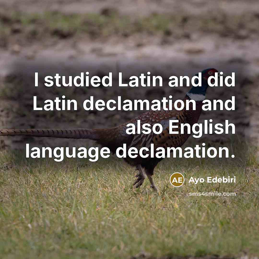 “I studied Latin and did Latin declamation and also English…” quote by Ayo Edebiri