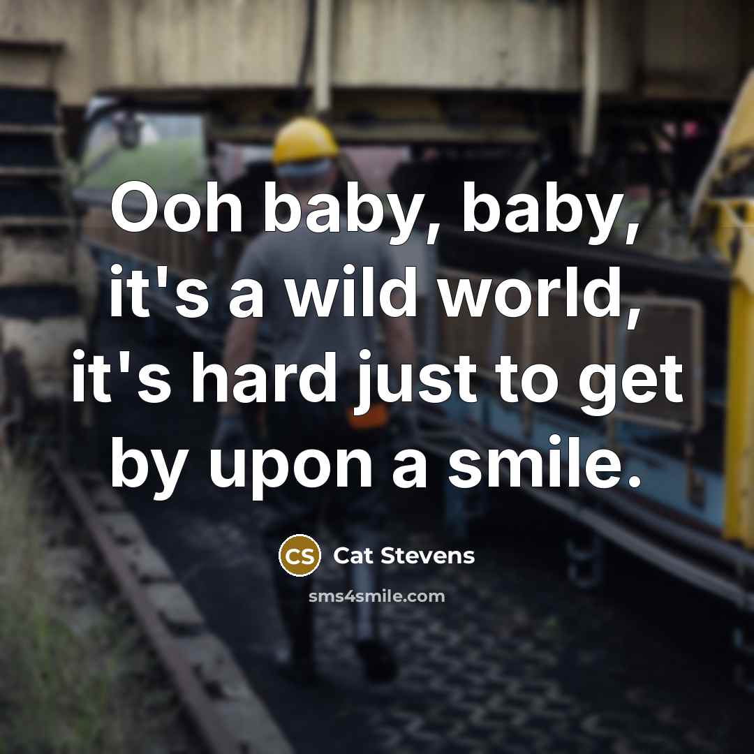 “Ooh baby, baby, it's a wild world, it's hard just…” quote by Cat Stevens