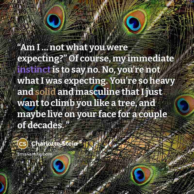 “Am I … not what you were expecting?” Of course, my immediate instinct is to say no. No, you’re not what I was expecting. You’re so heavy and solid and masculine that I just want to climb you like a tree, and maybe live on your face for a couple of decades.” quote by Charlotte Stein