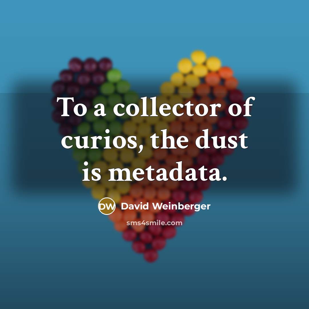 “To a collector of curios, the dust is metadata.…” quote by David Weinberger