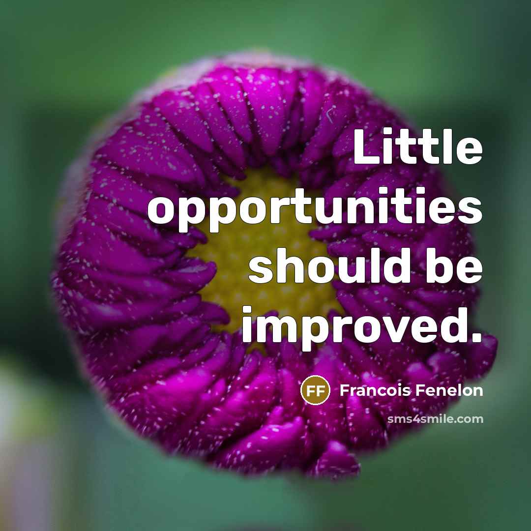 “Little opportunities should be improved.” quote by Francois Fenelon