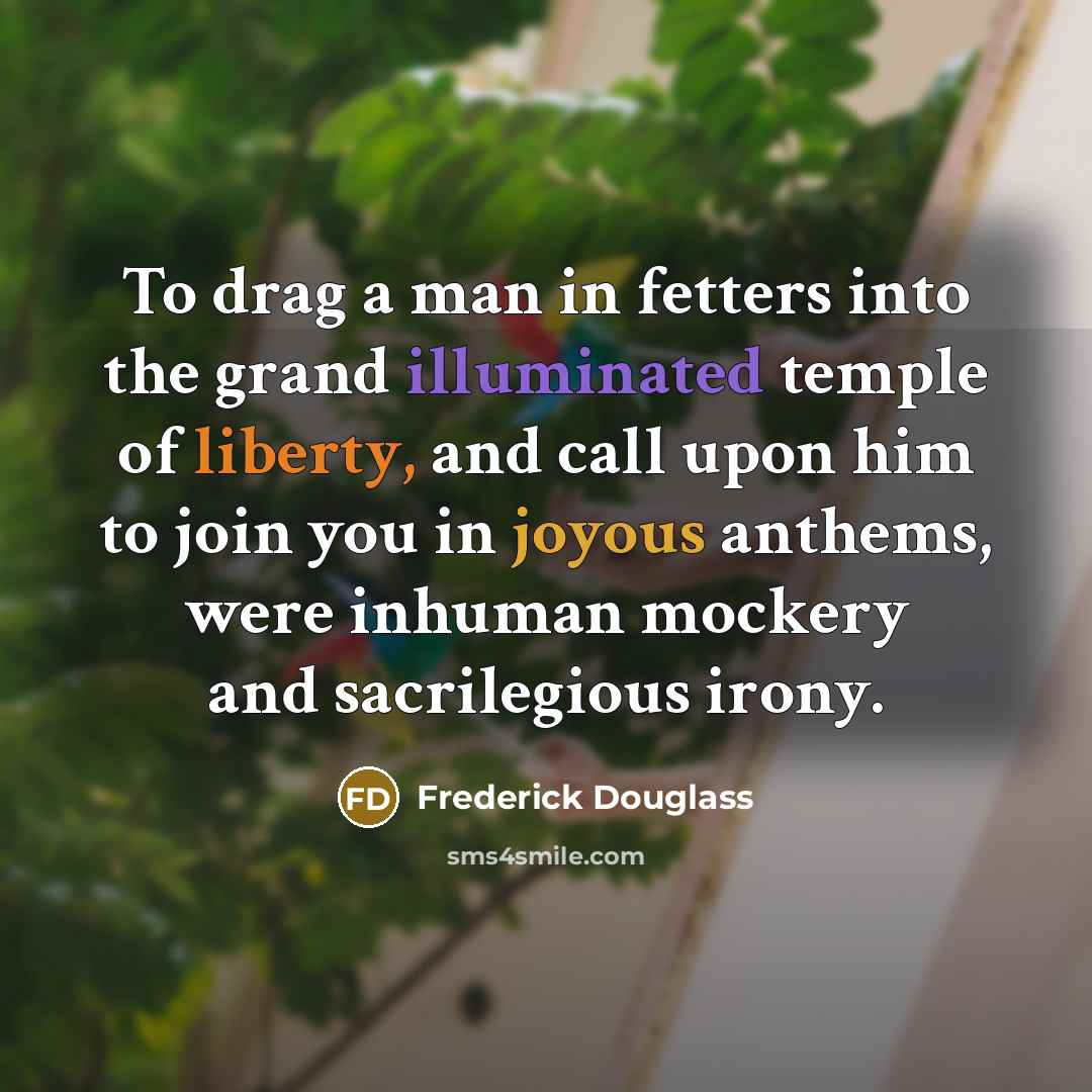 “To drag a man in fetters into the grand illuminated…” quote by Frederick Douglass