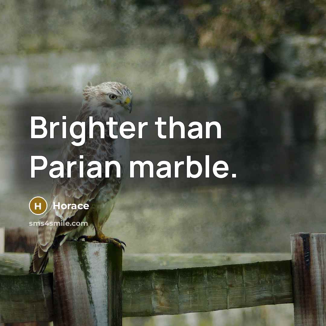 “Brighter than Parian marble.…” quote by Horace