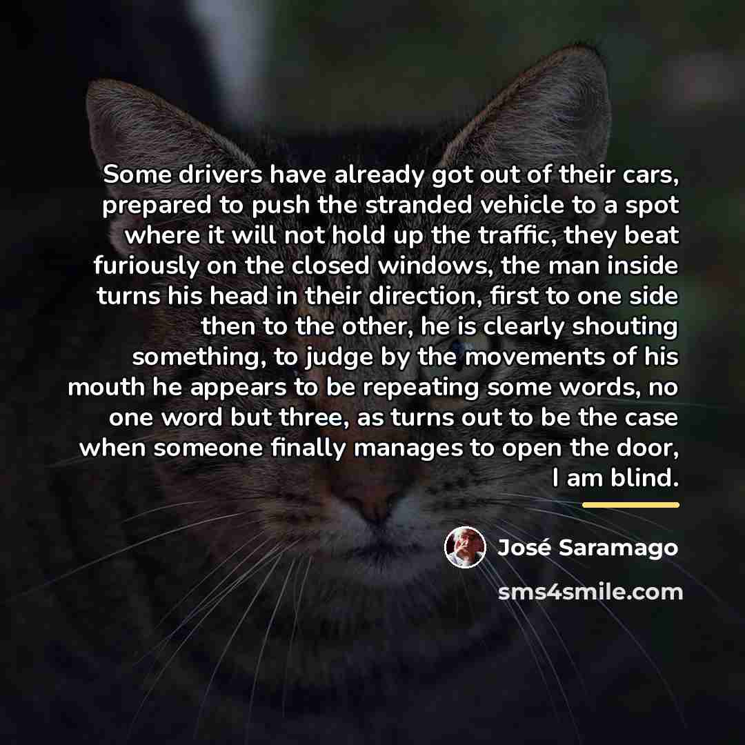 “Some drivers have already got out of their cars, prepared…” quote by Jose Saramago