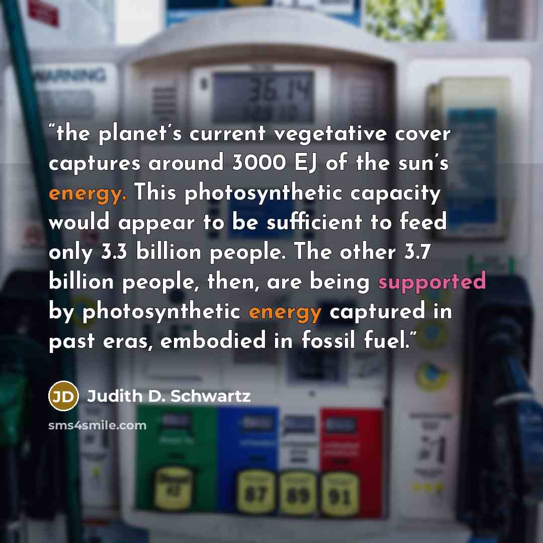 “the planet’s current vegetative cover captures around 3000 EJ of the sun’s energy. This photosynthetic capacity would appear to be sufficient to feed only 3.3 billion people. The other 3.7 billion people, then, are being supported by photosynthetic energy captured in past eras, embodied in fossil…” quote by Judith D. Schwartz