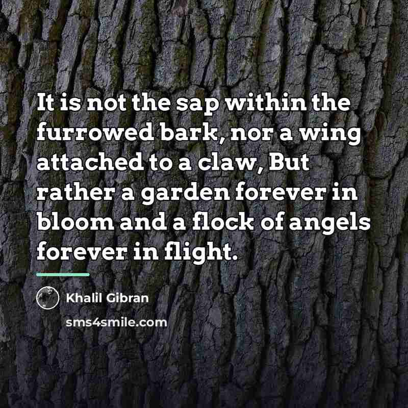 “It is not the sap within the furrowed bark, nor…” quote by Khalil Gibran