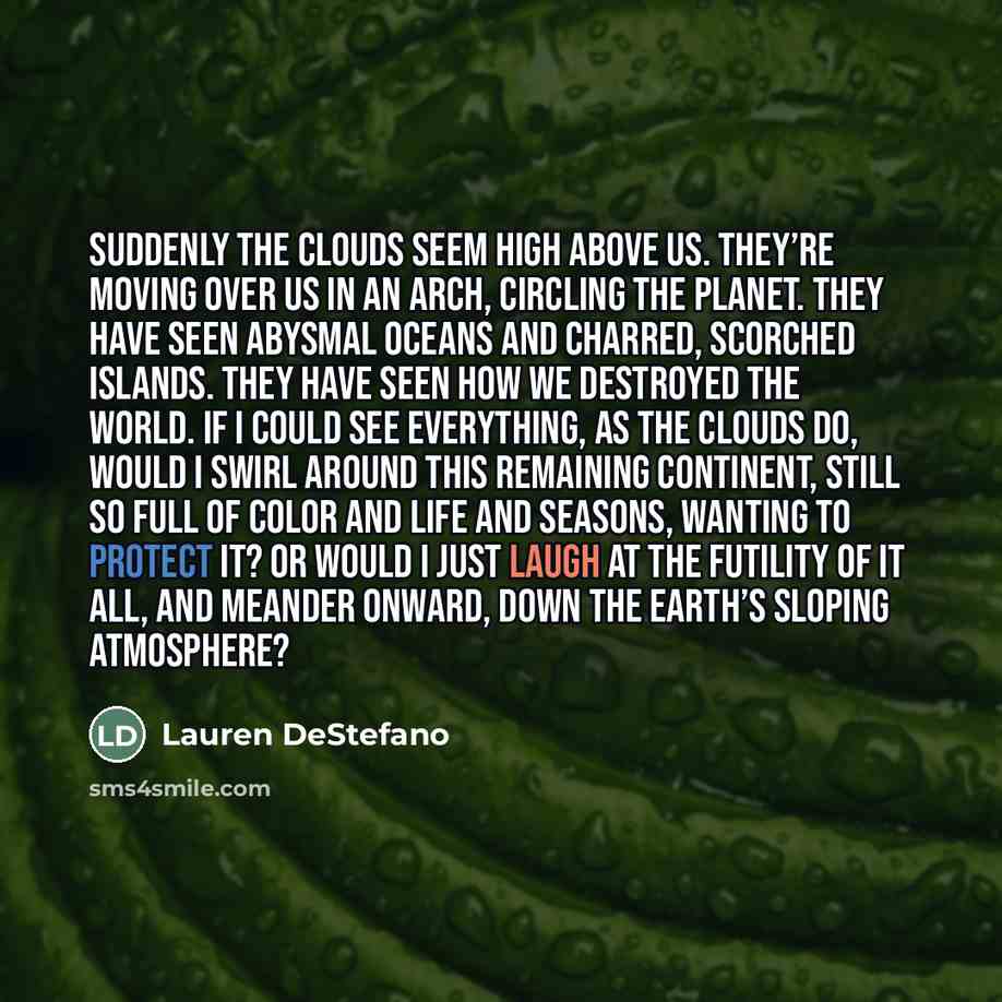“Suddenly the clouds seem high above us. They’re moving over…” quote by Lauren DeStefano