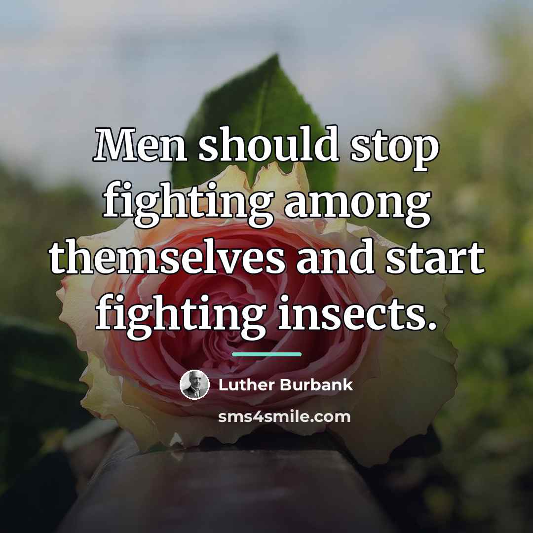 “Men should stop fighting among themselves and start fighting insects.…” quote by Luther Burbank