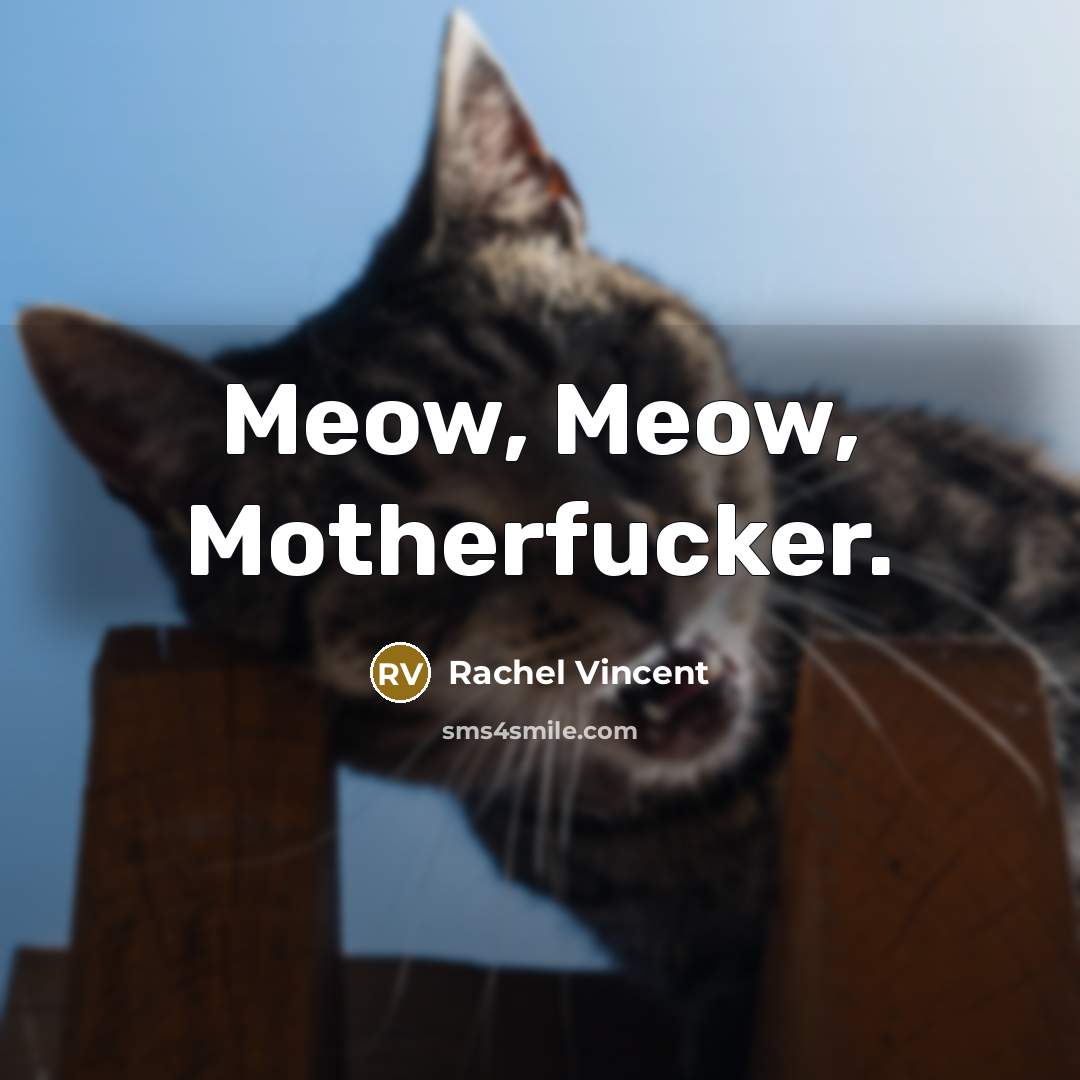 “Meow, Meow, Motherfucker.” quote by Rachel Vincent