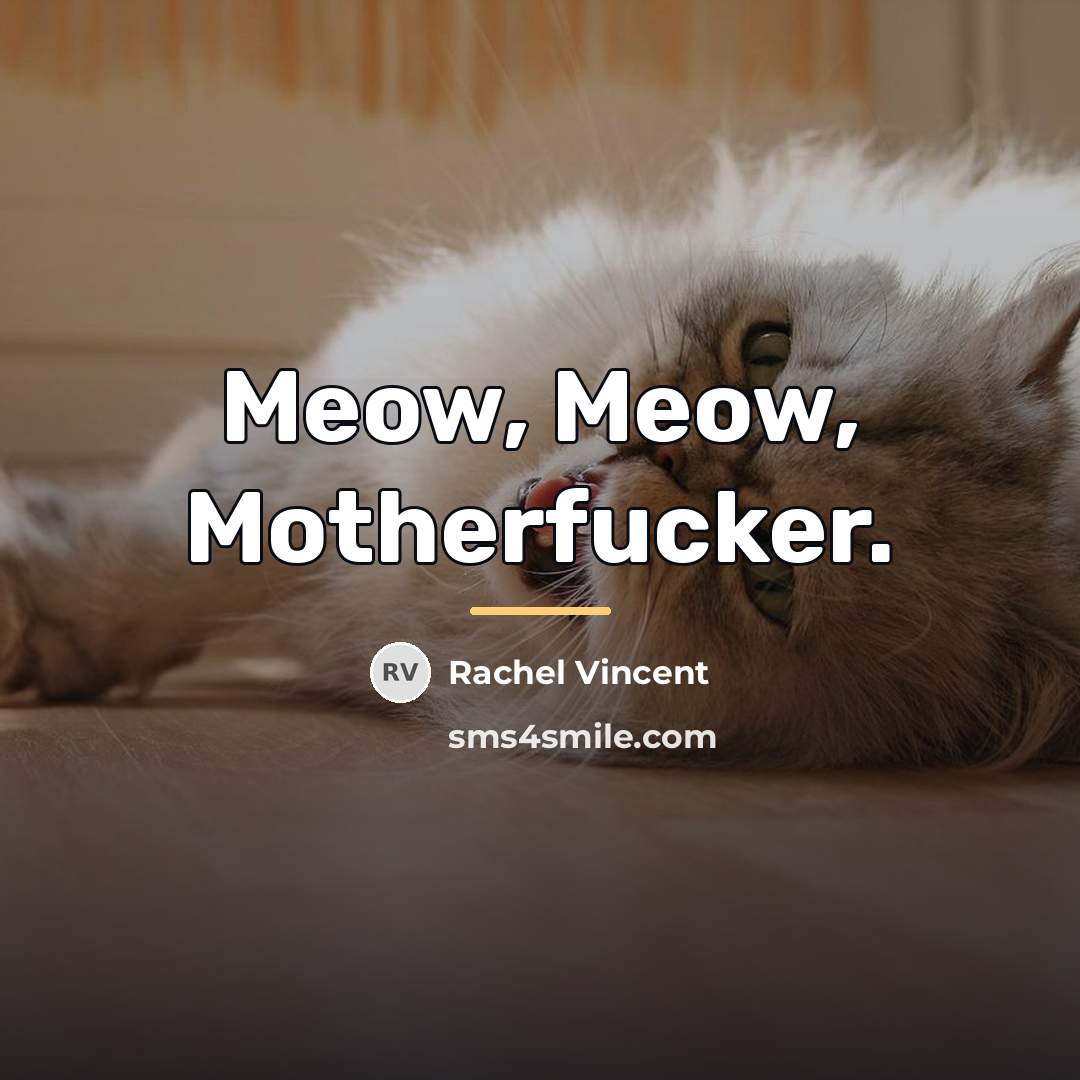 “Meow, Meow, Motherfucker.…” quote by Rachel Vincent