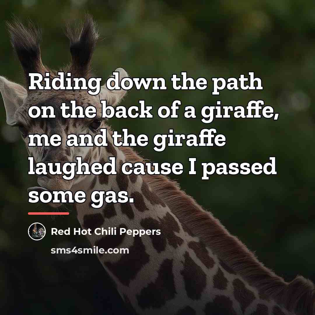 “Riding down the path on the back of a giraffe,…” quote by Red Hot Chili Peppers