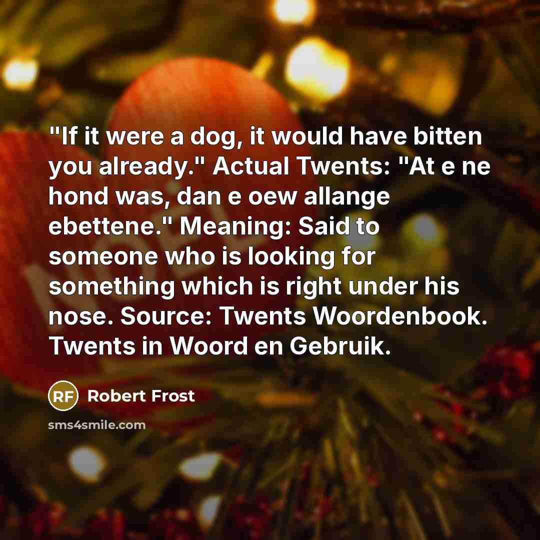 “"If it were a dog, it would have bitten you…” quote by Robert Frost